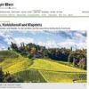 Herbst in der Steiermark: Wein, Kürbiskernöl GGA und Klapotetz